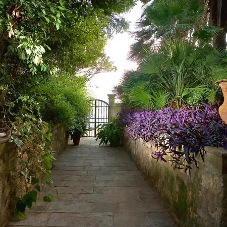 Tatil Evi Seaside House Orebic, Peljesac - 11853