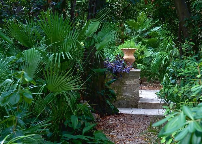 Casa de Férias Seaside House Orebic, Peljesac - 11853 Orebić